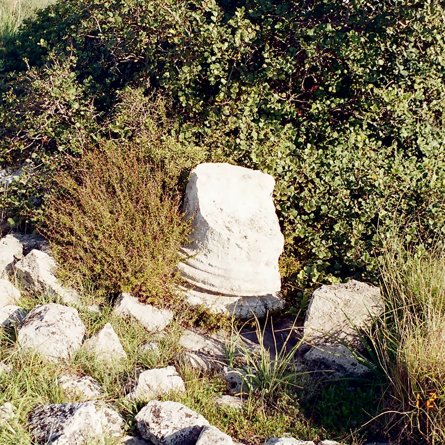 A weathered white limestone column base with rounded mouldings, lying among bushes, grass and loose stones on a hillside