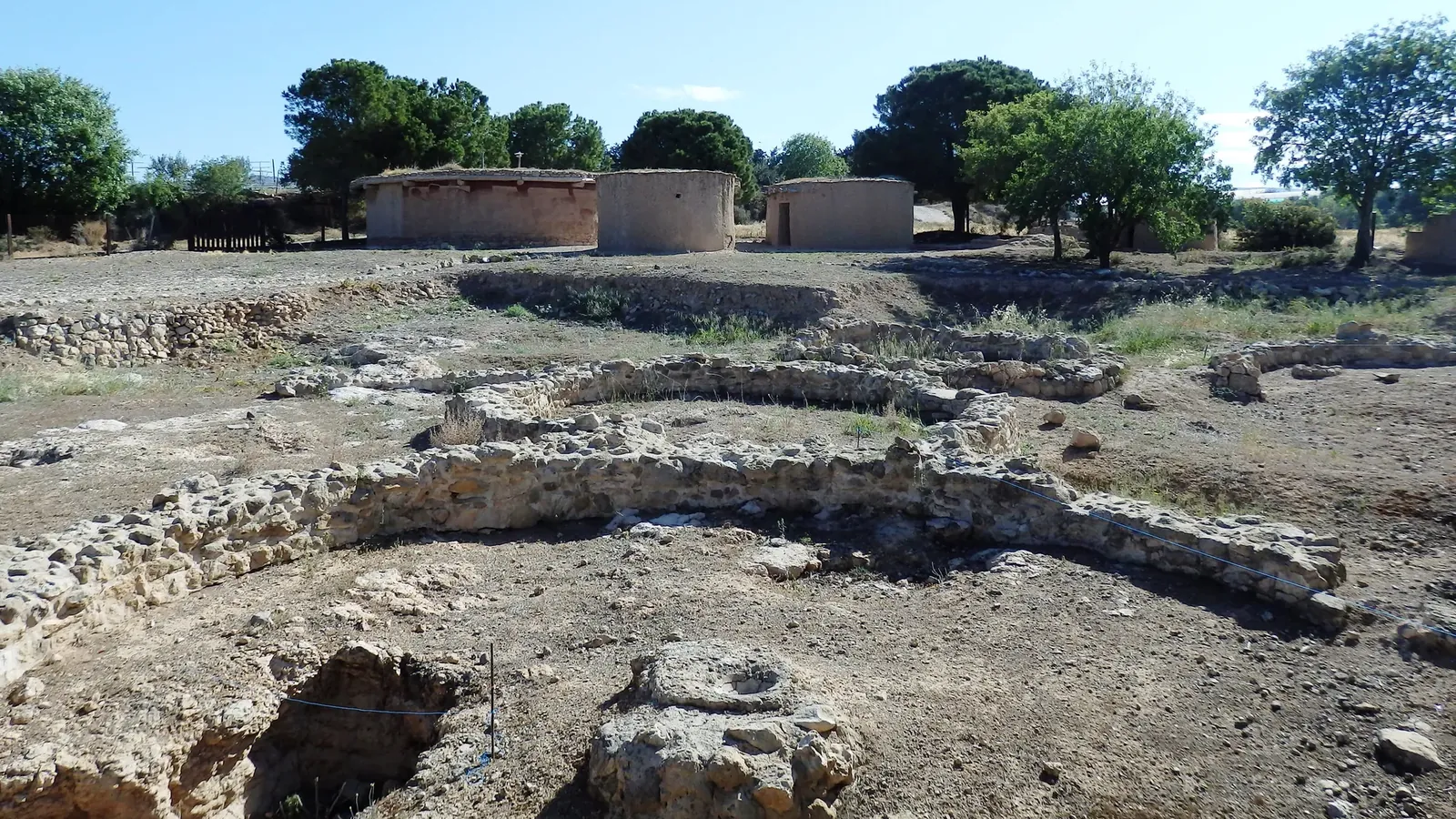 Curving low stone walls of excavated round houses in dry ground, with three reconstructed round houses with plastered walls and trees behind
