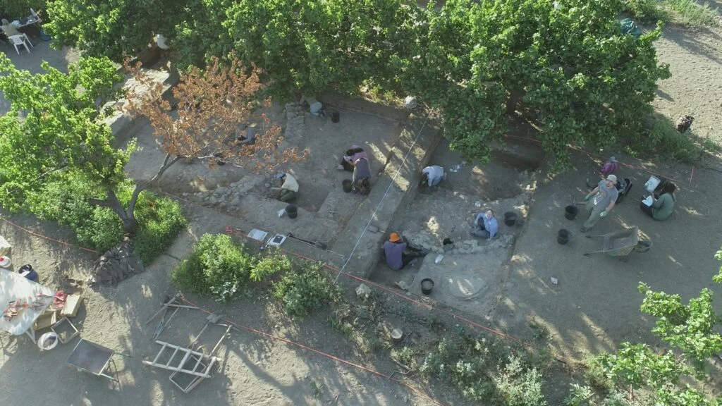 Aerial view of an excavation among fruit trees: square trenches with low stone walls, people kneeling at work, buckets, a wheelbarrow and finds trays at the edges