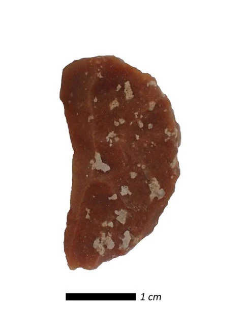 A small reddish-brown stone tool shaped like a half moon, with pale mineral spots on its surface, photographed on white above a 1 cm scale bar