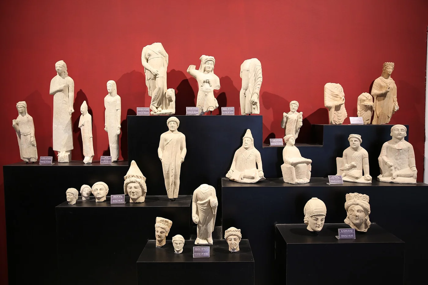 Limestone statues, statuettes and heads of men and women arranged on stepped black plinths against a red wall, with small bilingual labels in Turkish and English