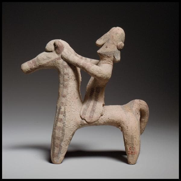 Horse and rider