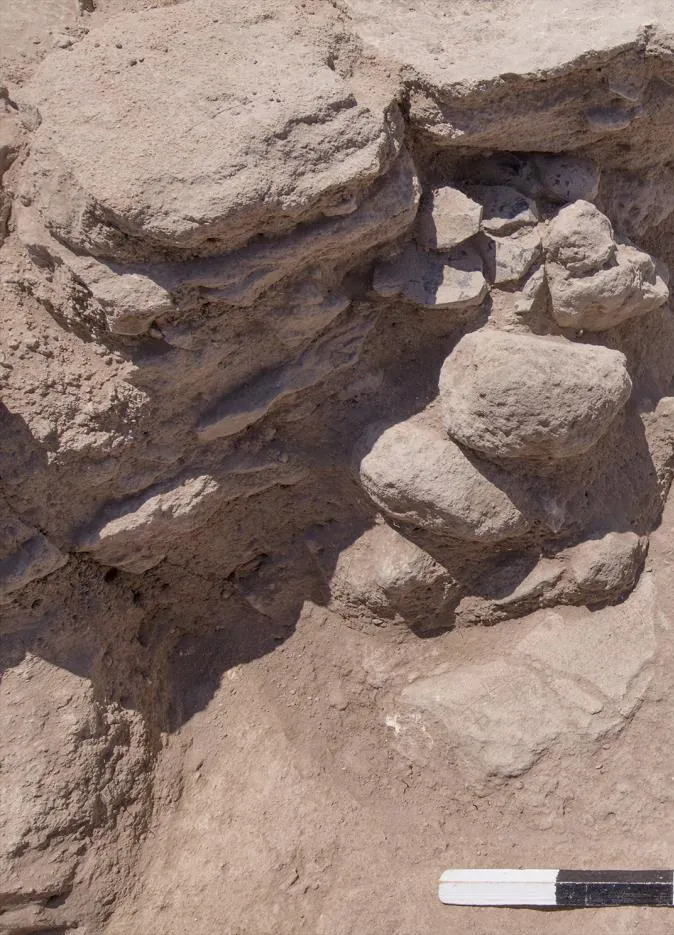 Close view of a rough wall of stones and mud in an excavation trench, with a dark crevice between the stones and a scale bar on the floor below