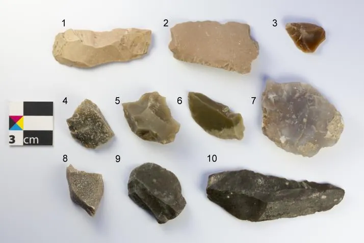 Ten numbered flakes and blades of flint in cream, honey, grey and black, laid on white beside a 3 cm scale