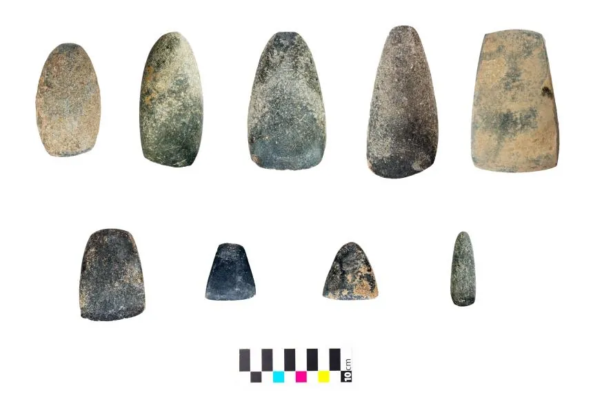 Nine polished green and grey stone blades of different sizes laid out in two rows on white, with a small colour scale