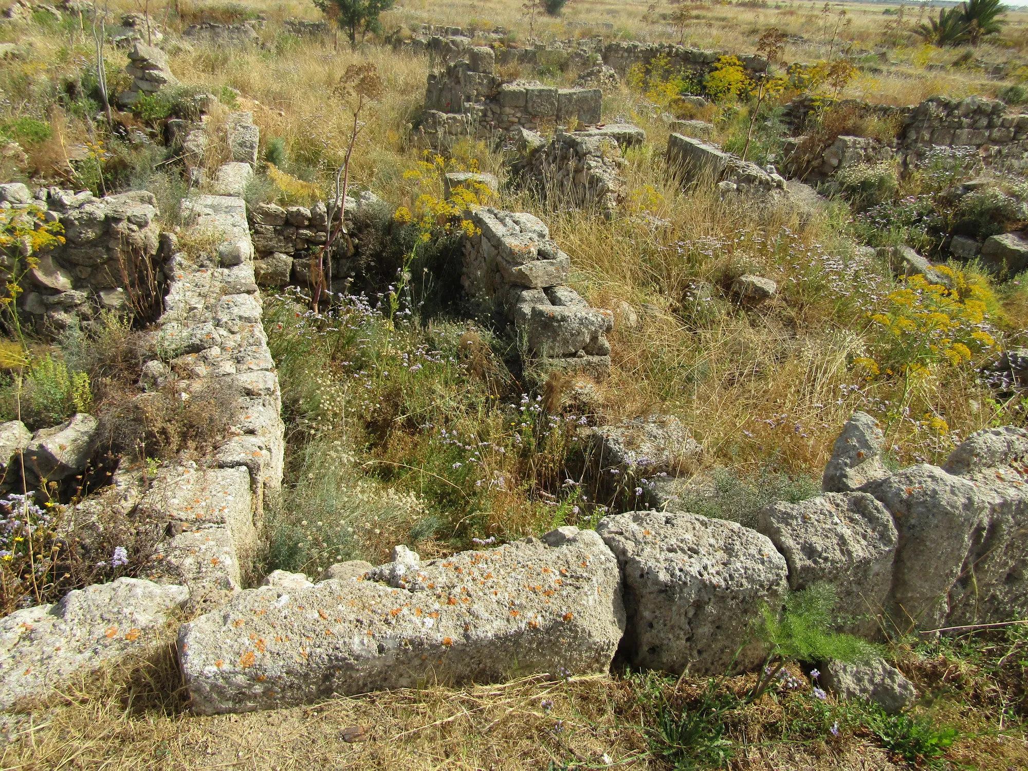 Rubble wall footings of a building at Enkomi; the upper walls were of mudbrick and are gone. Photo: O. Mustafin, CC0