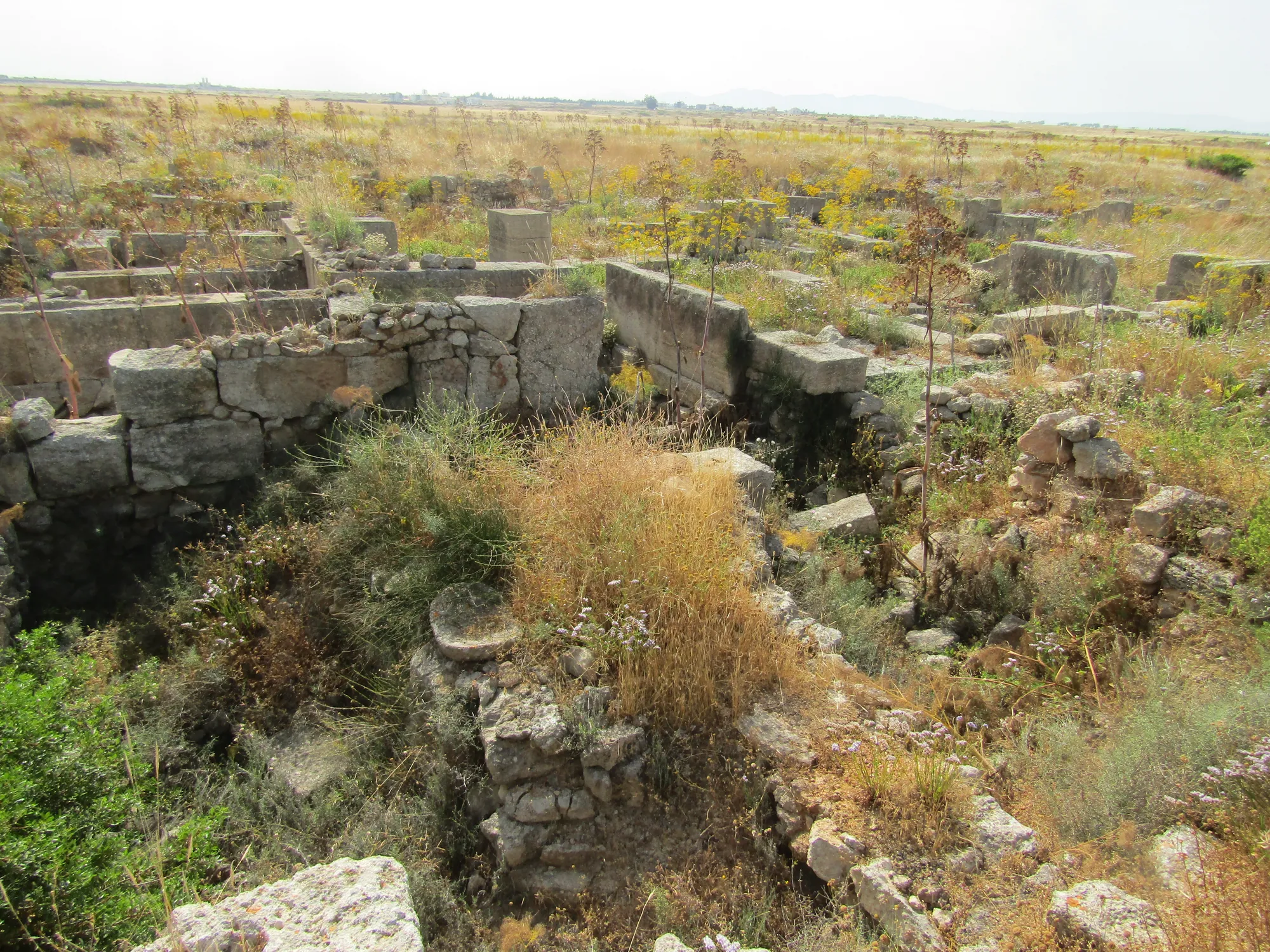 Late Bronze Age Towns and Buildings