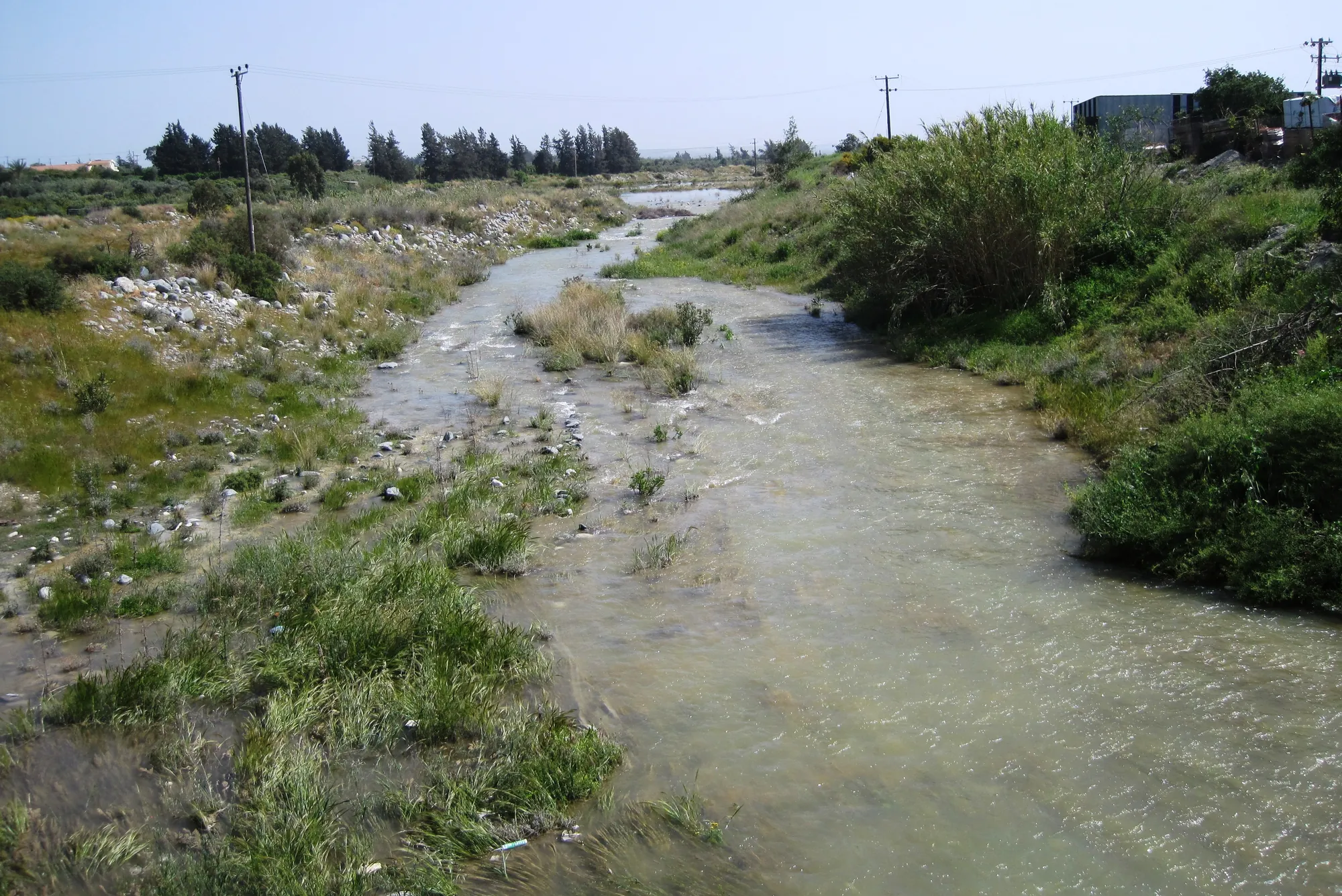 A shallow river flowing between grassy gravel banks and reeds, with pine trees and low buildings beyond