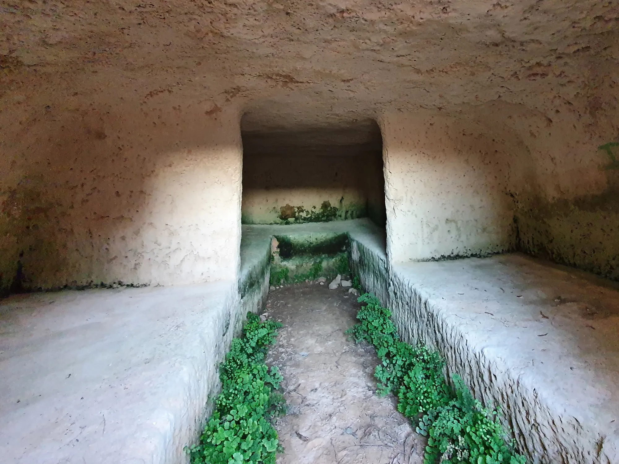 A rock-cut chamber with raised stone benches on both sides and at the back of a lower central trench