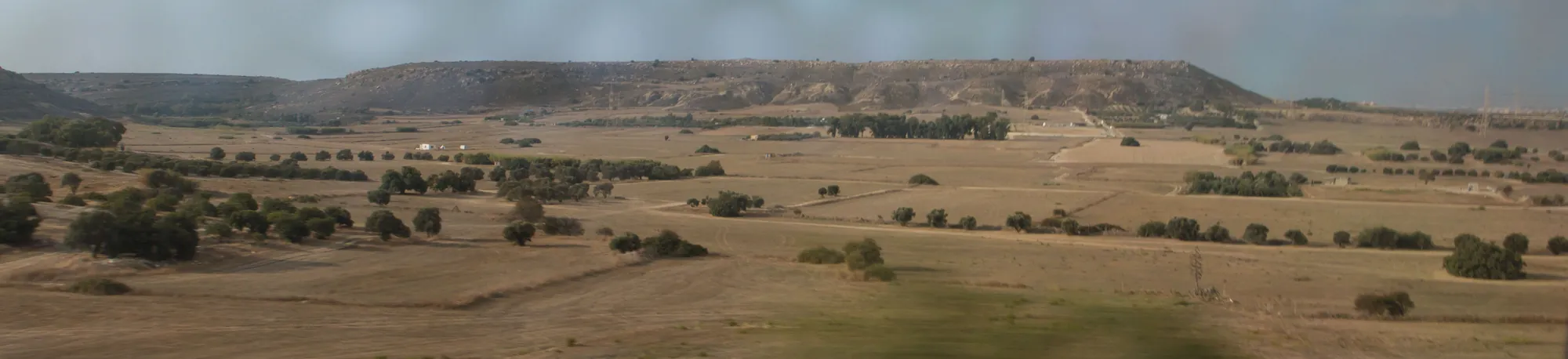 A flat plain of dry fields dotted with trees, with a low flat-topped hill behind