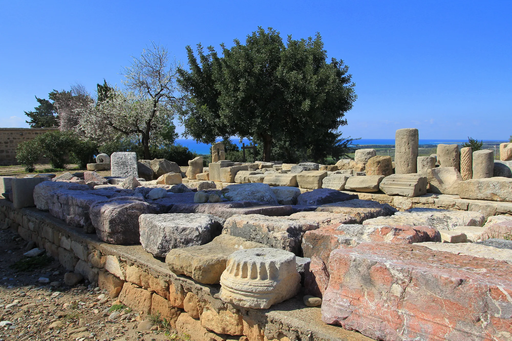 Dressed stone blocks and column fragments in the sanctuary at Kouklia, with a tree and the sea beyond