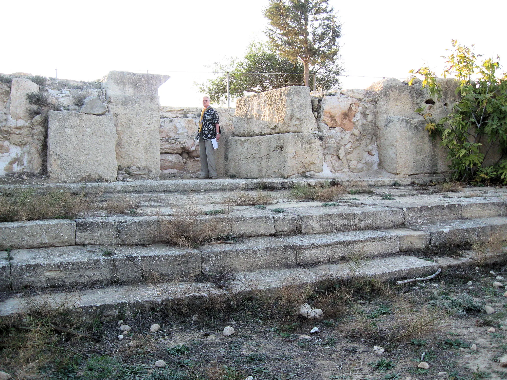 Royal and Built Tombs